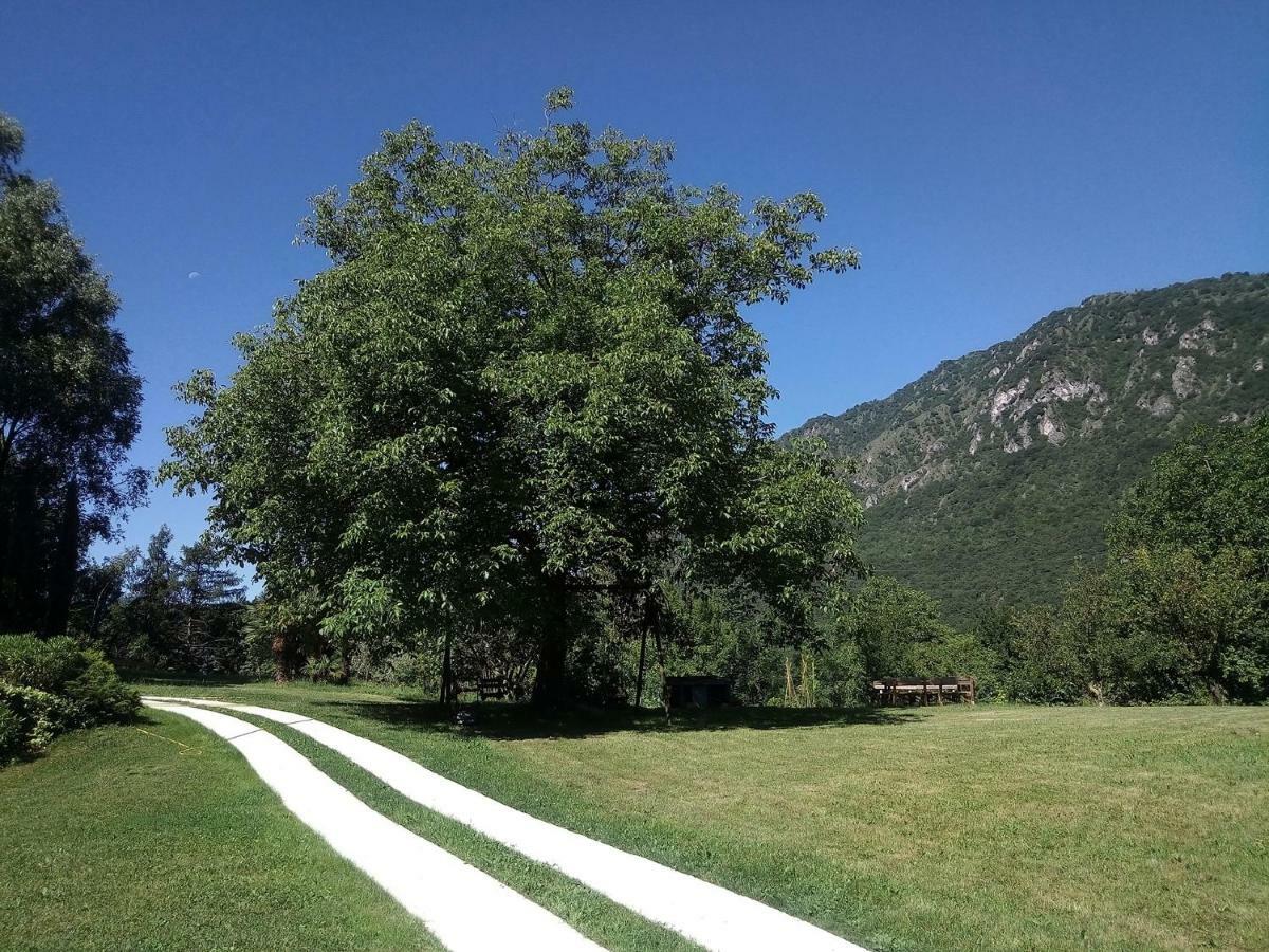 Casa Vacanze Il Noce Sovere Екстериор снимка