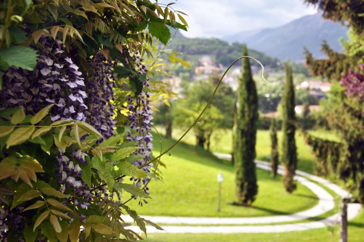 Casa Vacanze Il Noce Sovere Екстериор снимка